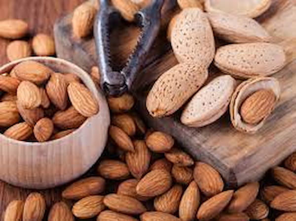 تصویر 4 از خرید بادام کوهی مرغوب + قیمت فروش استثنایی